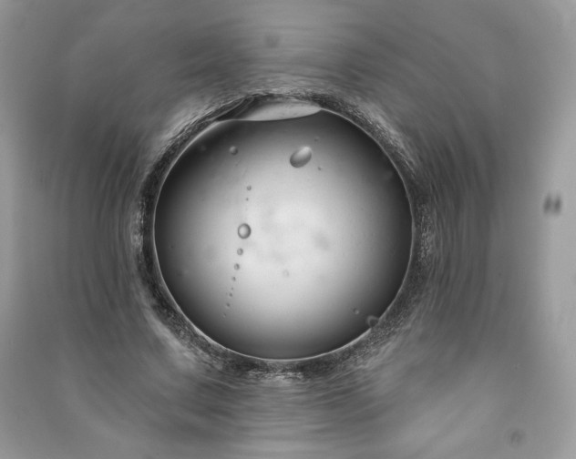 X0000090970683200708091437