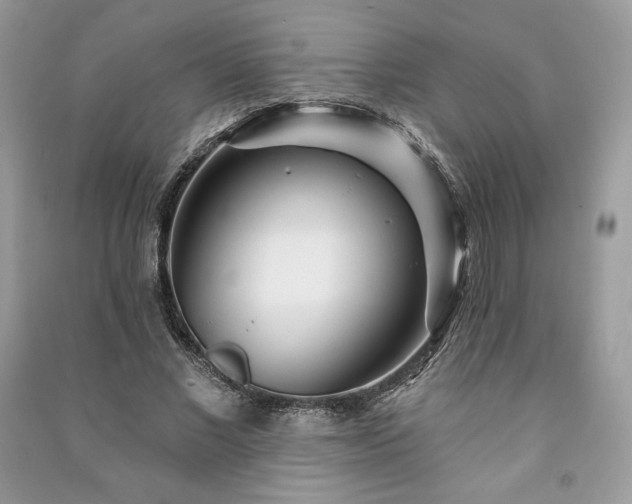 X0000090970685200708091437