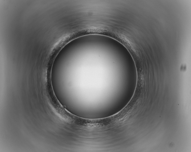 X0000090970686200708091437