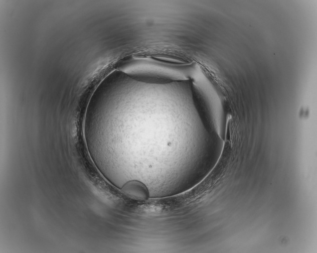 X0000090970687200708091437