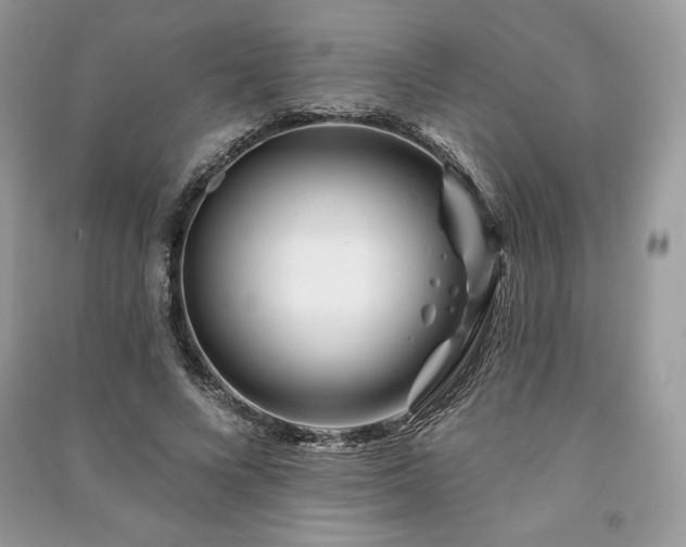 X0000090970688200708091436