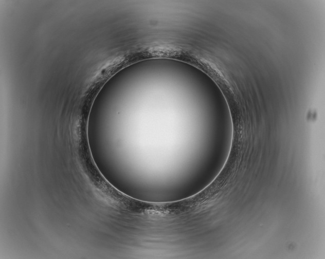 X0000090970690200708091436