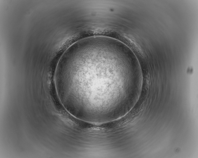 X0000090970691200708091436