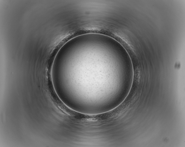 X0000090970692200708091436