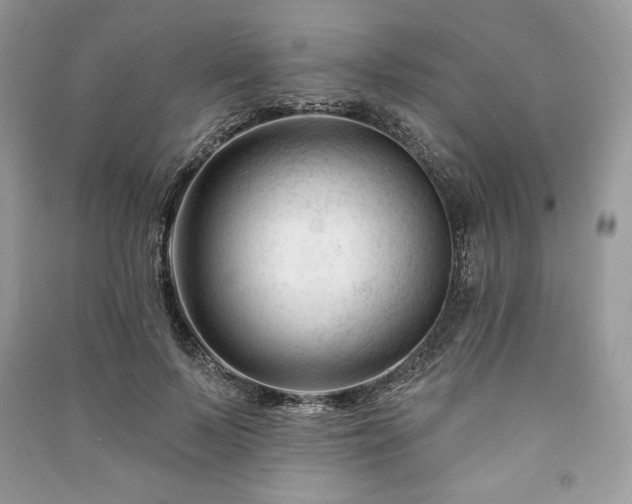 X0000090970695200708091436