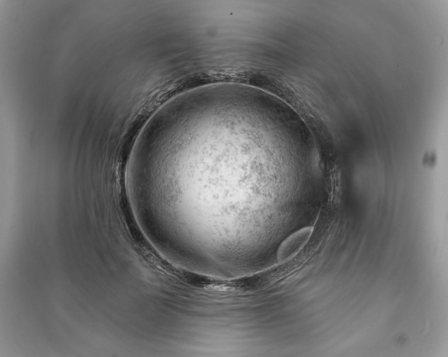 X0000090970699200708091436