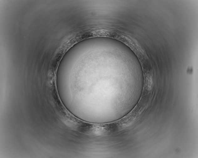 X0000090970701200708091436