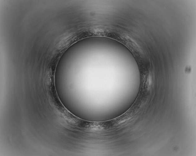 X0000090970702200708091436