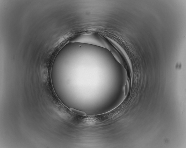 X0000090970704200708091436