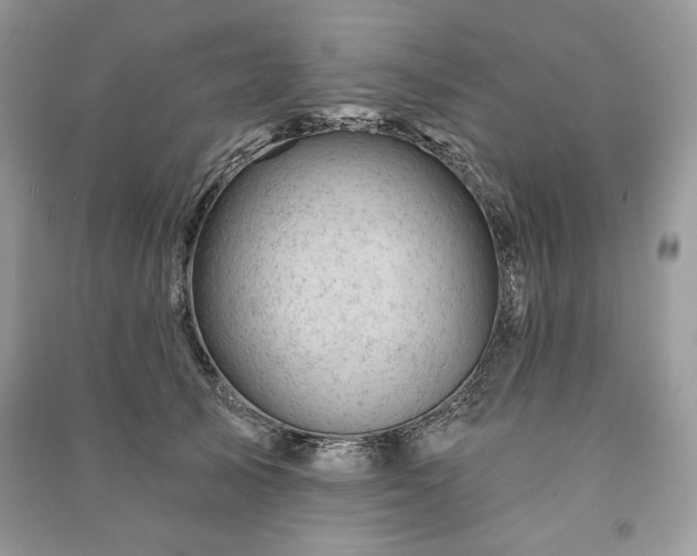 X0000090970705200708091436