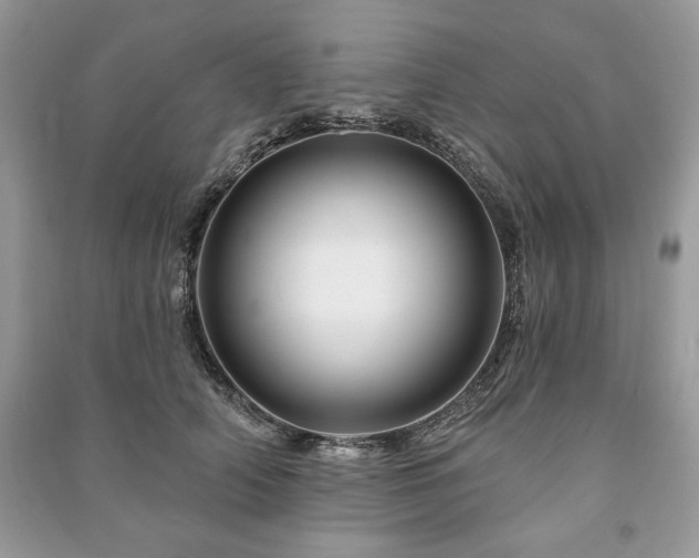 X0000090970706200708091436