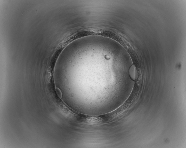 X0000090970707200708091436