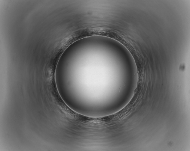 X0000090970708200708091436