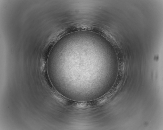 X0000090970709200708091436