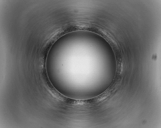 X0000090970710200708091436