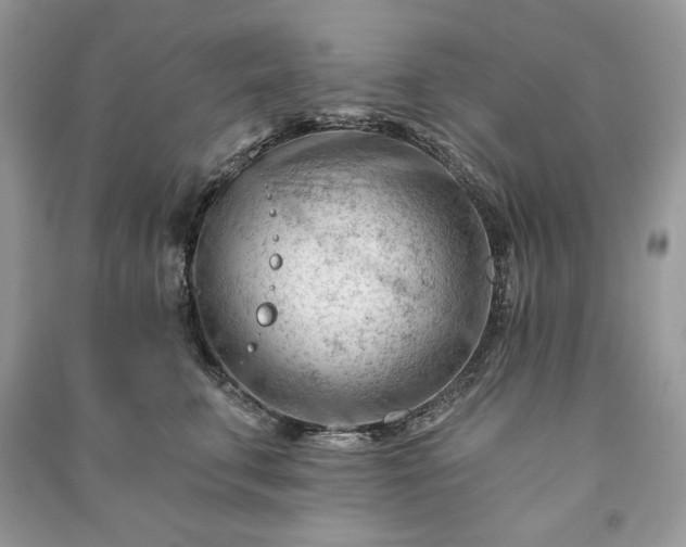 X0000090970711200708091436