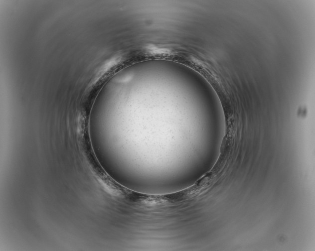 X0000090970712200708091436