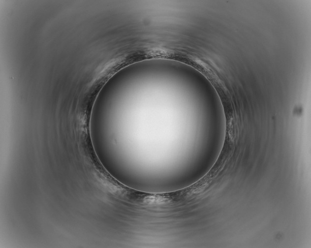 X0000090970714200708091436