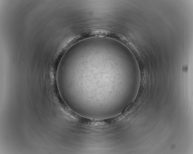 X0000090970716200708091436