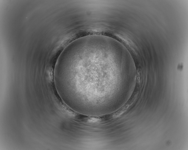 X0000090970718200708091436