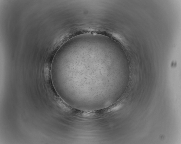 X0000090970720200708091436