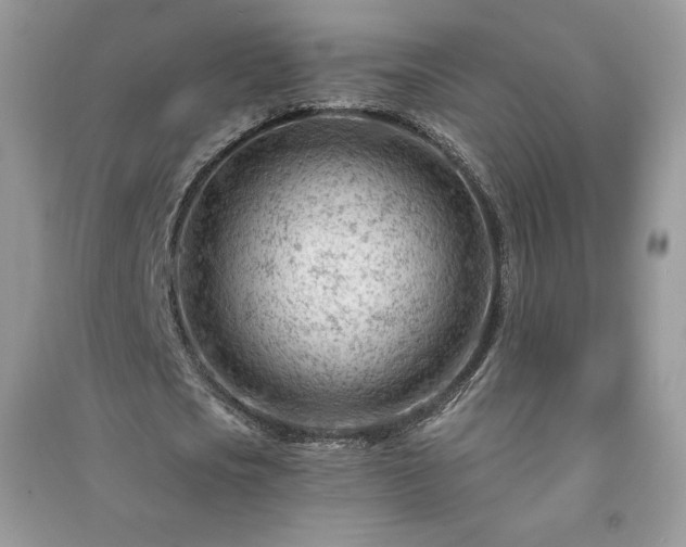 X0000090970721200708091435