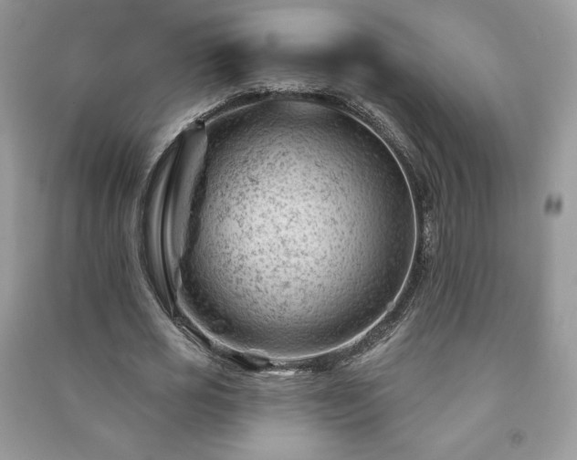 X0000090970725200708091435