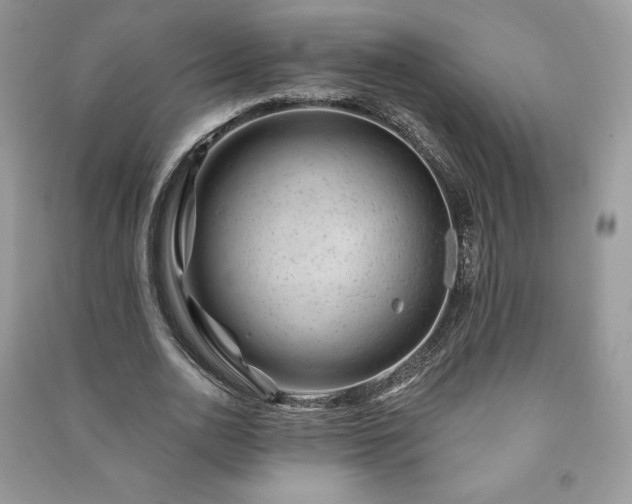 X0000090970726200708091435