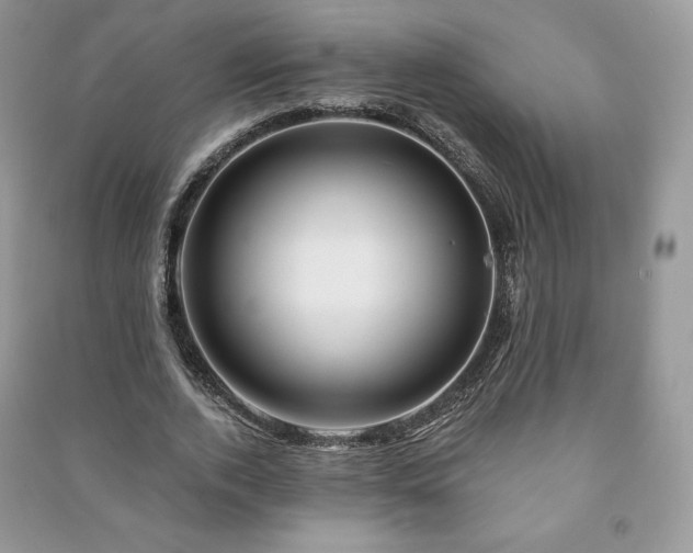 X0000090970728200708091435