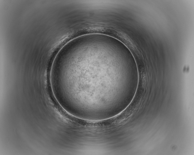 X0000090970729200708091435