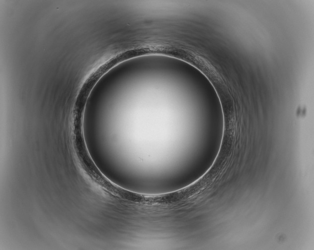 X0000090970730200708091435