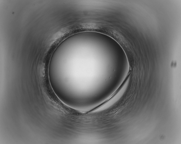 X0000090970731200708091435