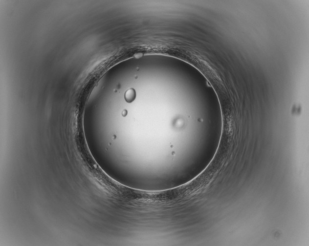 X0000090970733200708091435