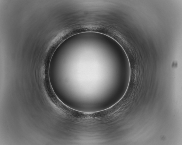 X0000090970734200708091435