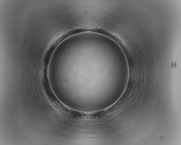 X0000090970736200708091436