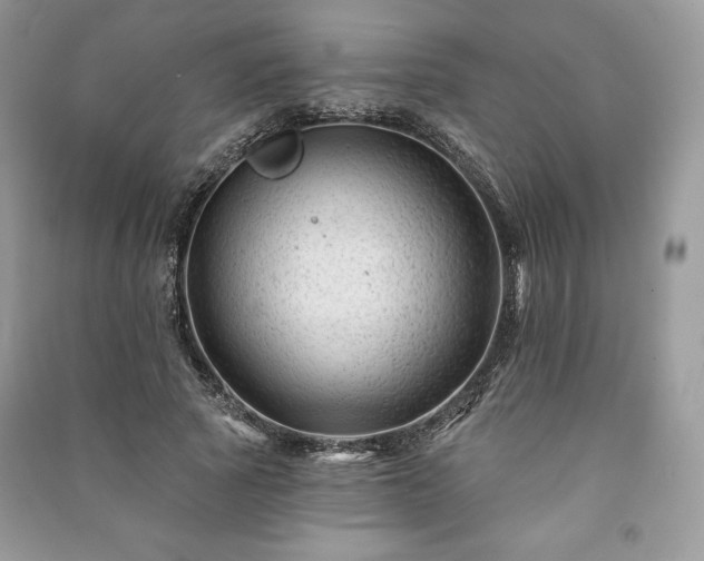 X0000090970737200708091436