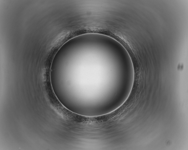 X0000090970738200708091436