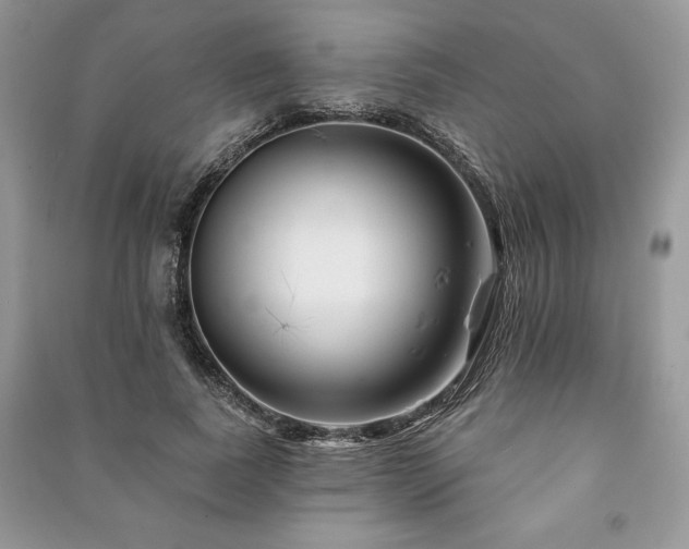 X0000090970739200708091436