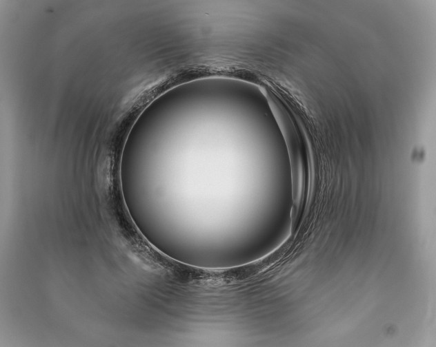 X0000090970740200708091436