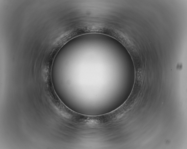 X0000090970741200708091436