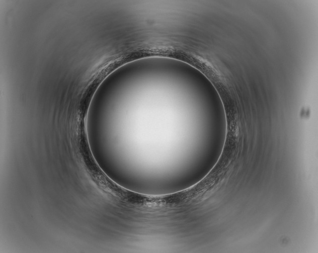 X0000090970744200708091436