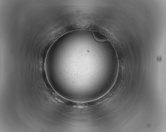 X0000090970745200708091436