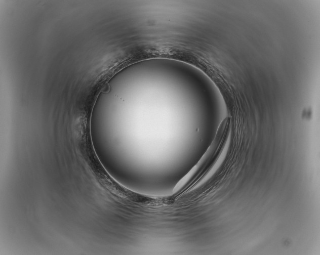 X0000090970747200708091436