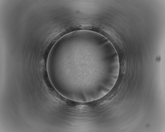 X0000090970748200708091436