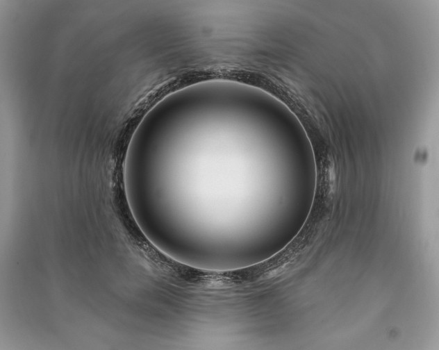 X0000090970750200708091436