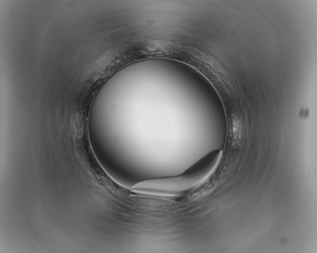 X0000090970751200708091436