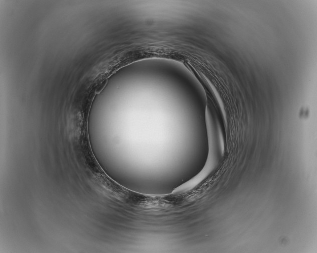 X0000090970752200708091436