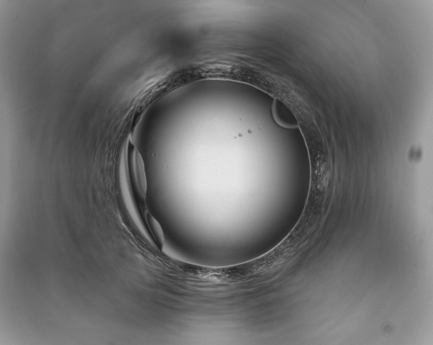 X0000090970753200708091436