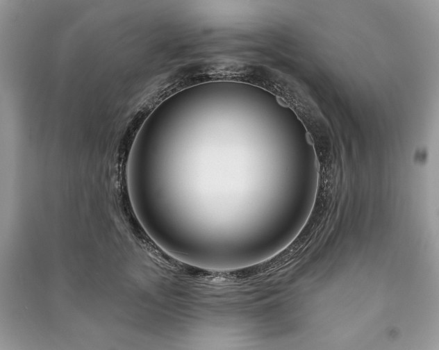 X0000090970755200708091436