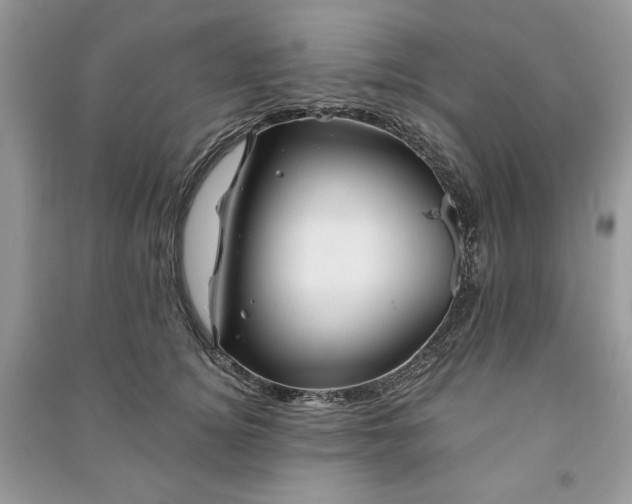 X0000090970756200708091436